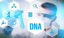 河南省什么医院能办理DNA亲子鉴定，河南省医院做亲子鉴定流程是什么