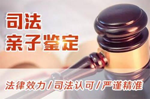 河南省司法亲子鉴定基本流程,司法DNA亲子鉴定采集什么样本