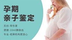 在河南省怀孕期间需要如何做胎儿亲子鉴定，河南省做产前亲子鉴定准不准